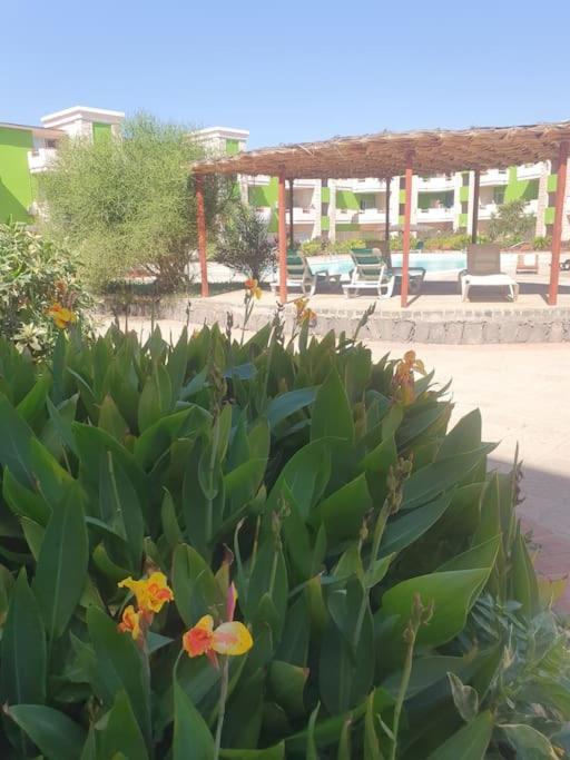 Holiday Properties Moradias Green サンタ・マリア エクステリア 写真