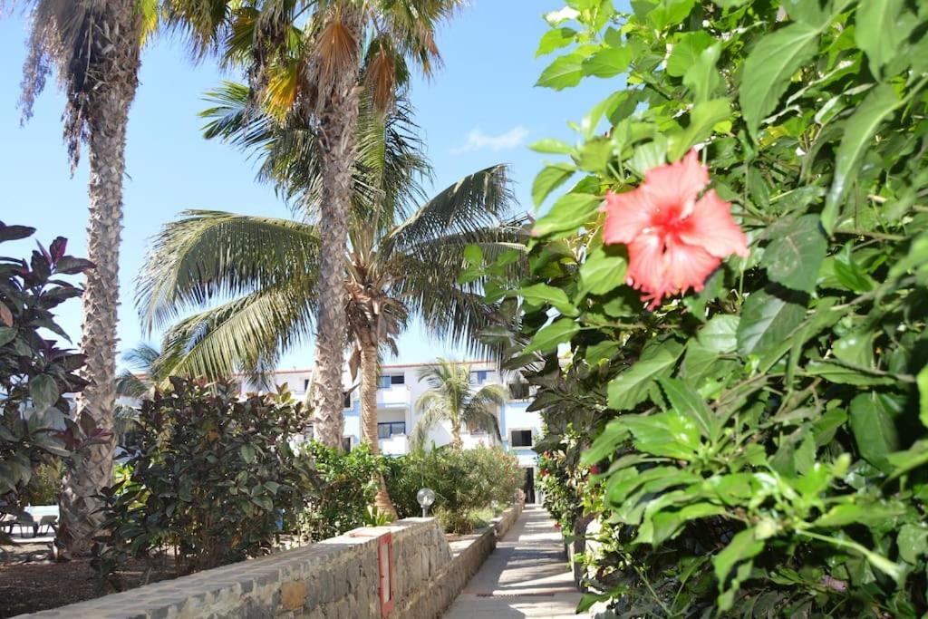 Holiday Properties Moradias Green サンタ・マリア エクステリア 写真