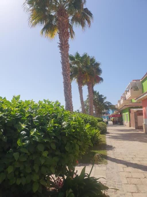 Holiday Properties Moradias Green サンタ・マリア エクステリア 写真